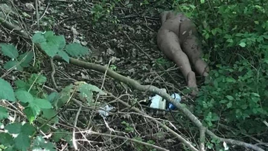 SekspoplangssnelwegbijHarenwordtaangezienvoormenselijklichaam